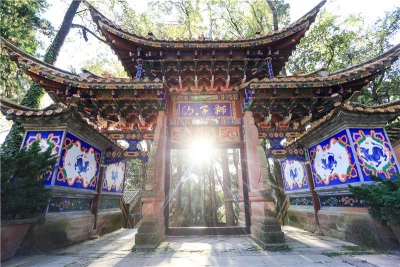 森林+旅游，解锁武定狮子山康养旅游新玩法！