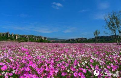 世界花都 魅力昆明——石林