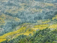 【就爱去元阳】大美元阳梯田