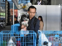 东宠会开幕 看宠物萌萌哒