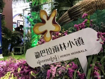 西双版纳·勐巴拉雨林小镇 2019国际旅交会最靓的一抹“绿”