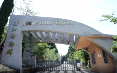 【就爱去澄江】澄江 国家地质公园