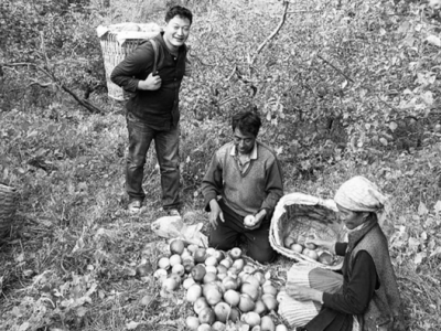 双十一咱们云南买得进来卖得出去 云品出滇大丰收