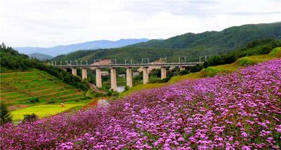 楚雄市“七抓实”深入推进旅游转型升级，助推文旅深度融合