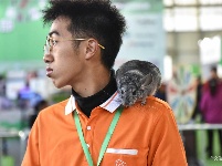 东宠会开幕 看宠物萌萌哒