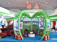 【2019中国国际旅交会】云南省16州市展馆一览