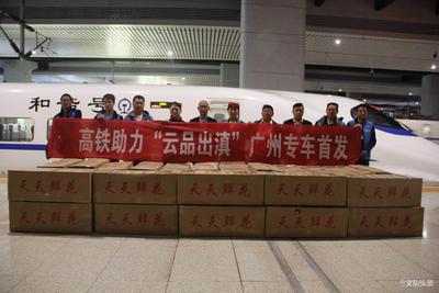 双十一黄金周 云南铁路完成230多吨“云品出滇”运输