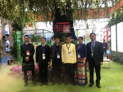 西双版纳·勐巴拉雨林小镇 2019国际旅交会最靓的一抹“绿”