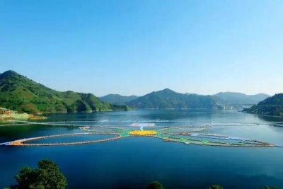 为期90天！重庆隔壁200家A级景区5折啦