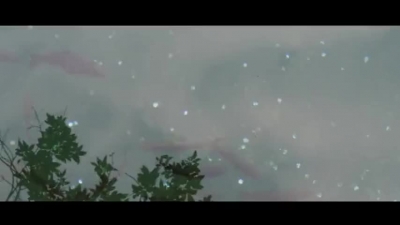 【就爱去保山】保山市龙王塘公园