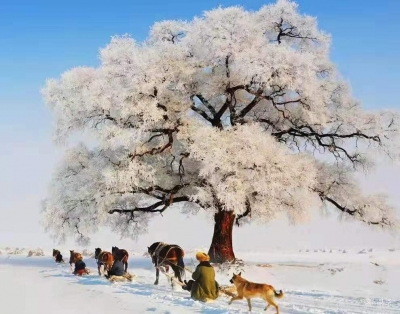 神奇 刺激 梦幻 火热  吉林市携四大冰雪特色亮相2019旅交会