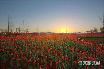 弥勒太平湖森林小镇：竭力发展生态旅游 构筑美好生活福地 