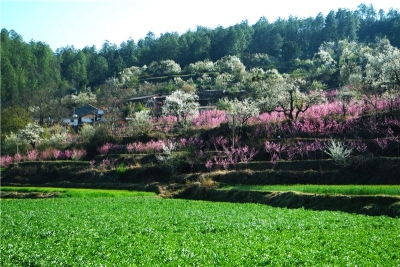 2019中国美丽休闲乡村名单公示，楚雄州南华县岔河村入选，确实美！