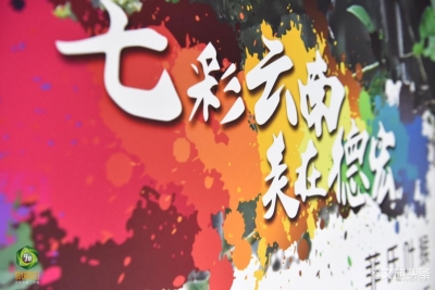 2019中国国际旅游交易会云南馆——德宏馆