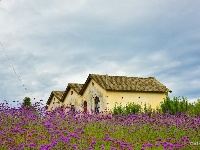 【就爱去弥勒】等闲识得“东风韵”，葡萄飘香迎你来