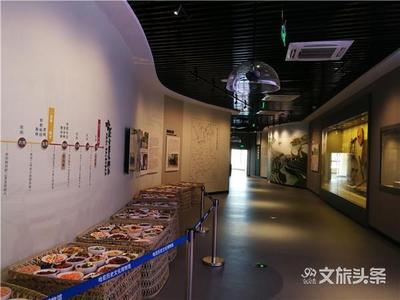 元阳·哈尼小镇：梯田文化特色显著 文化遗产魅力无限