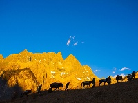 【就爱去迪庆】世界的香格里拉，人间的天堂