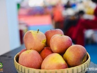 【2019中国国际旅交会】云南馆——昭通馆