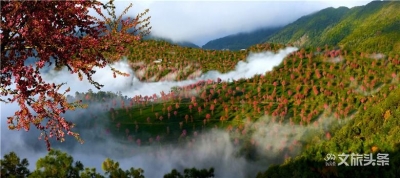 免费出游，限领1套！这些最受宠的旅行目的地，一站二十景，景景醉人