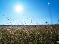 【就爱去寻甸】高原草甸北大营 