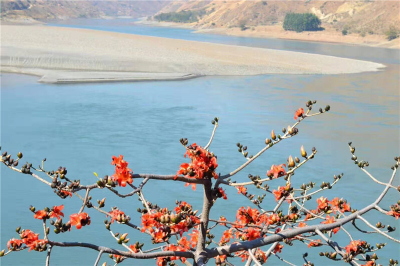 【攻略】冬季出游到元谋，细沙暖阳、温泉热汤、甜蜜瓜果，养生避寒游安排起来！