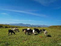 【就爱去寻甸】高原草甸北大营 