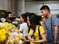 【就爱去呈贡】斗南花市  花花世界