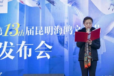 海鸥翩跹情动五华  六大版块19项活动   2020年第十三届昆明海鸥文化节好有意思