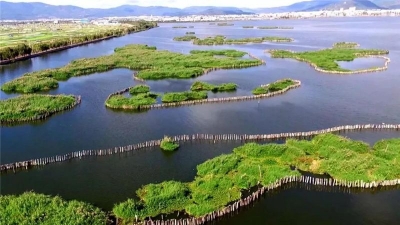 云南又有3处湿地公园正式成为“国家级”，这些湿地有多美？快来养眼、洗肺、打卡吧！