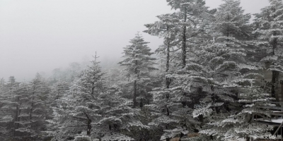 大雪到来，云南风光赛北国