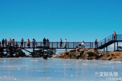  【美图+视频】带上你的边牧和萨摩耶，来轿子雪山戏雪滑雪赏雪！