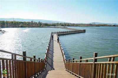 【就爱去江川】星云湖生态湿地公园