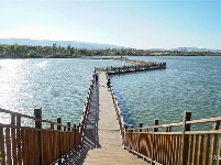 【就爱去江川】星云湖生态湿地公园