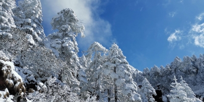 “战马24小时”轿子雪山翻越挑战赛将于12月21日开跑