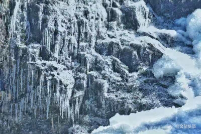  【美图+视频】带上你的边牧和萨摩耶，来轿子雪山戏雪滑雪赏雪！