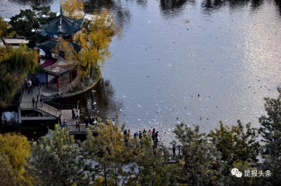 翠湖·讲武堂“+A”迎终评！昆明或再添一个国家4A级景区