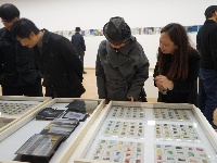 【图集】阡陌纵横，自由呼吸——“阡陌”白雪娟个展开幕