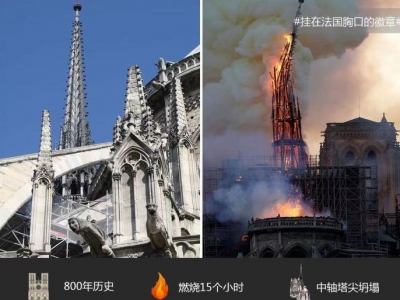 请回答2019，地球火殇，人类之殃？