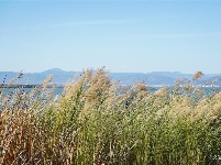 【就爱去江川】星云湖生态湿地公园