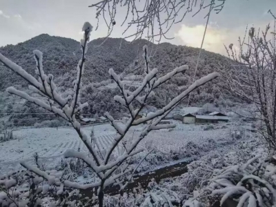 大理、丽江、迪庆……云南多地迎来降雪，美如仙境的雪景如约而至