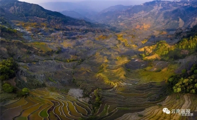 【就爱去红河】用一张张美图揭开红河哈尼梯田的神秘面纱，没到过的游客看过来