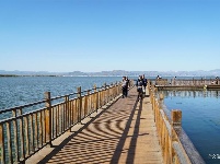 【就爱去江川】星云湖生态湿地公园