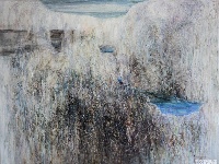 【图集】醒着做梦——白雪娟个展