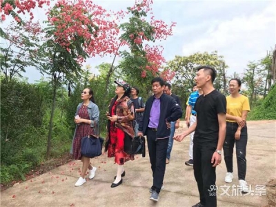 8家单位获得“云南省乡村健康旅游目的地示范区(点)”称号，助推乡村康养旅游产业可持续发展