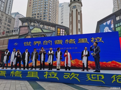 “迪庆精品线路冬季旅游产品推介会”在重庆举行