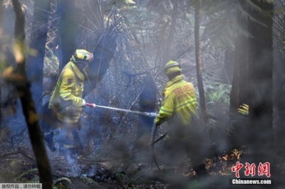 澳大利亚多地山火持续蔓延 当局呼吁3万游客撤离