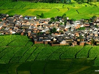巍山古城