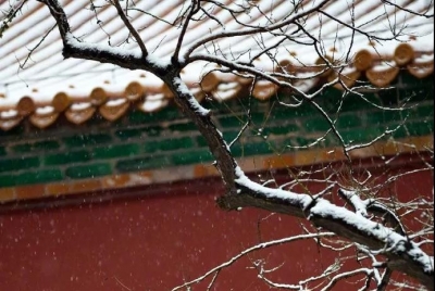 快看！你们期待的雪中故宫照片，来了！