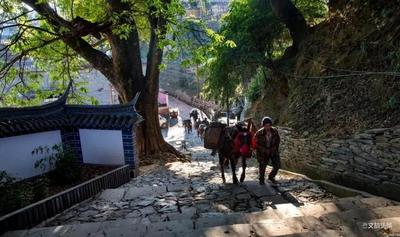 【乡村旅游看临沧】小村才露“尖尖角” ，早有游客“立上头”