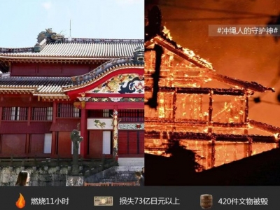 请回答2019，地球火殇，人类之殃？